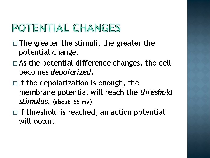 � The greater the stimuli, the greater the potential change. � As the potential � The greater the stimuli, the greater the potential change. � As the potential