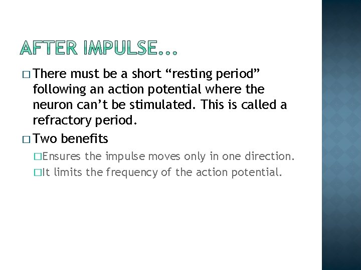 � There must be a short “resting period” following an action potential where the � There must be a short “resting period” following an action potential where the