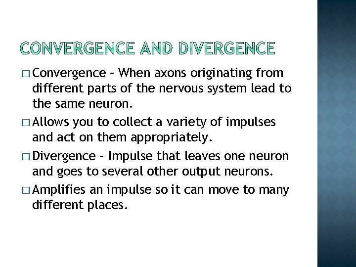 � Convergence – When axons originating from different parts of the nervous system lead � Convergence – When axons originating from different parts of the nervous system lead