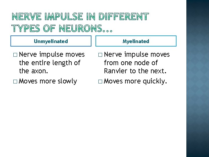 Unmyelinated � Nerve impulse moves the entire length of the axon. � Moves more Unmyelinated � Nerve impulse moves the entire length of the axon. � Moves more