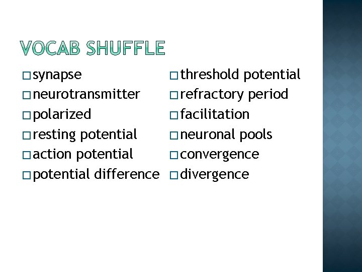 � synapse � threshold potential � neurotransmitter � refractory period � polarized � facilitation � synapse � threshold potential � neurotransmitter � refractory period � polarized � facilitation