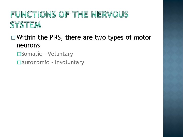 � Within the PNS, there are two types of motor neurons �Somatic – Voluntary � Within the PNS, there are two types of motor neurons �Somatic – Voluntary