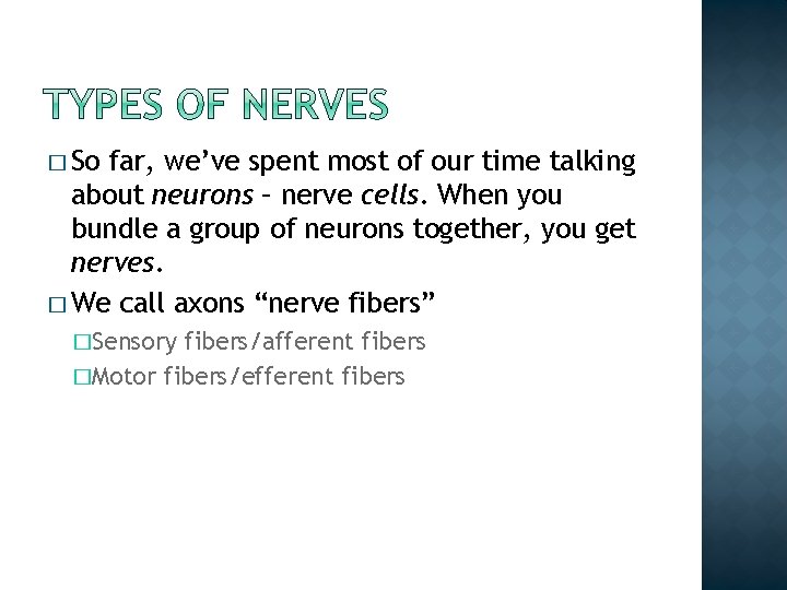 � So far, we’ve spent most of our time talking about neurons – nerve � So far, we’ve spent most of our time talking about neurons – nerve