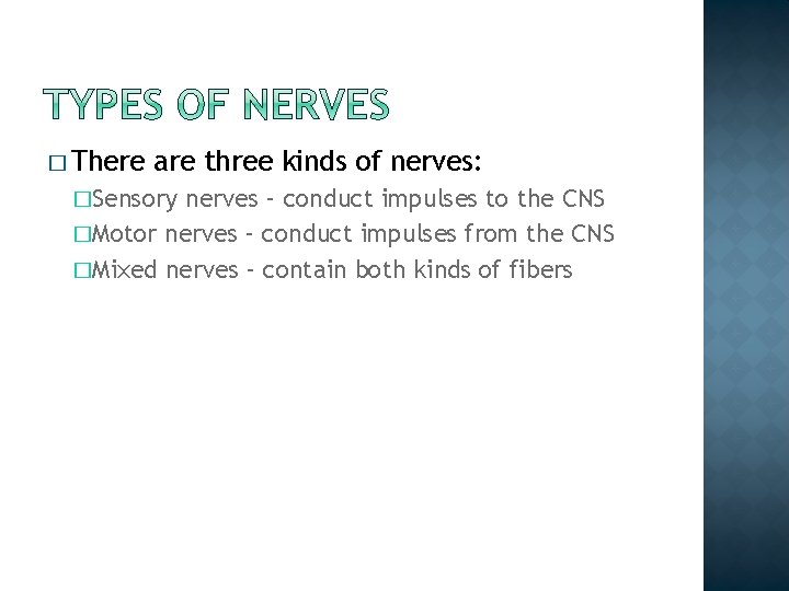 � There are three kinds of nerves: �Sensory nerves – conduct impulses to the � There are three kinds of nerves: �Sensory nerves – conduct impulses to the