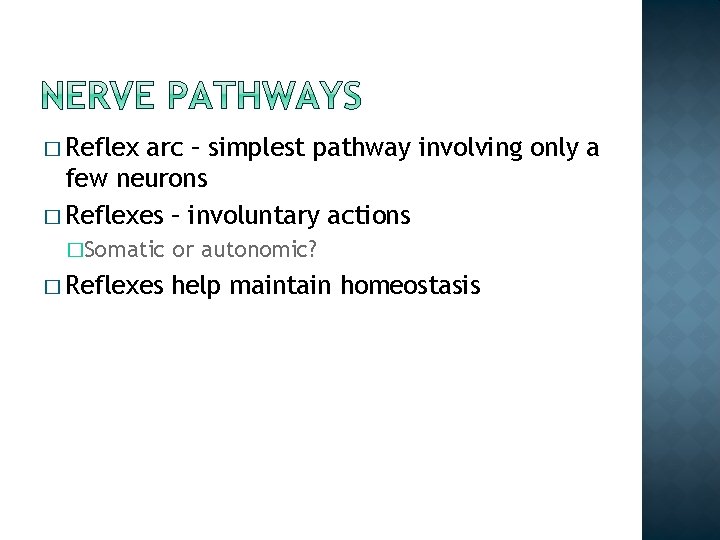 � Reflex arc – simplest pathway involving only a few neurons � Reflexes – � Reflex arc – simplest pathway involving only a few neurons � Reflexes –
