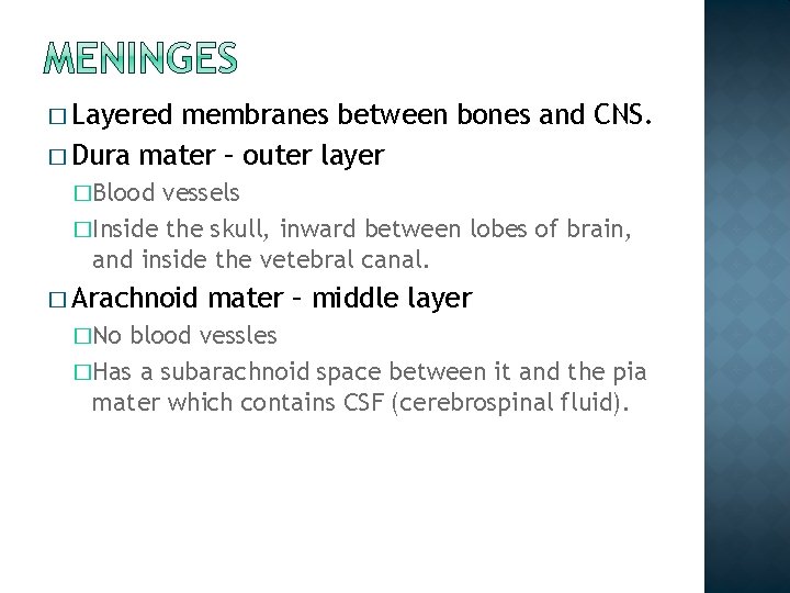 � Layered membranes between bones and CNS. � Dura mater – outer layer �Blood � Layered membranes between bones and CNS. � Dura mater – outer layer �Blood