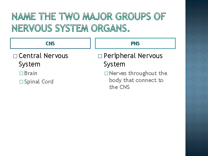CNS � Central Nervous PNS � Peripheral System � Brain � Nerves � Spinal CNS � Central Nervous PNS � Peripheral System � Brain � Nerves � Spinal