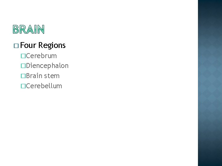 � Four Regions �Cerebrum �Diencephalon �Brain stem �Cerebellum � Four Regions �Cerebrum �Diencephalon �Brain stem �Cerebellum