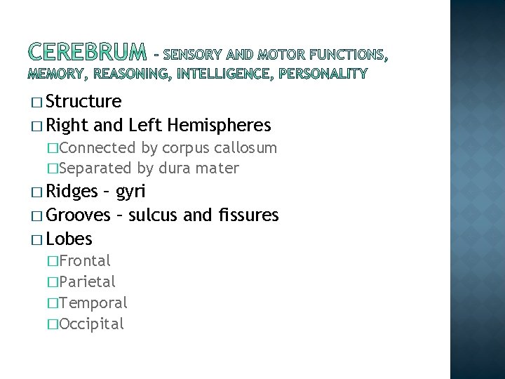 � Structure � Right and Left Hemispheres �Connected by corpus callosum �Separated by dura � Structure � Right and Left Hemispheres �Connected by corpus callosum �Separated by dura