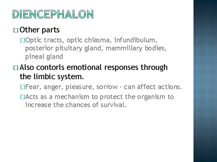 � Other parts �Optic tracts, optic chiasma, infundibulum, posterior pituitary gland, mammillary bodies, pineal � Other parts �Optic tracts, optic chiasma, infundibulum, posterior pituitary gland, mammillary bodies, pineal