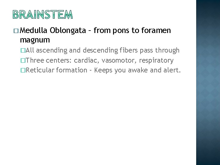 � Medulla Oblongata – from pons to foramen magnum �All ascending and descending fibers � Medulla Oblongata – from pons to foramen magnum �All ascending and descending fibers