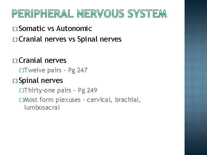� Somatic vs Autonomic � Cranial nerves vs Spinal nerves � Cranial nerves �Twelve � Somatic vs Autonomic � Cranial nerves vs Spinal nerves � Cranial nerves �Twelve