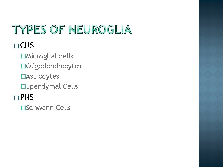� CNS �Microglial cells �Oligodendrocytes �Astrocytes �Ependymal Cells � PNS �Schwann Cells � CNS �Microglial cells �Oligodendrocytes �Astrocytes �Ependymal Cells � PNS �Schwann Cells