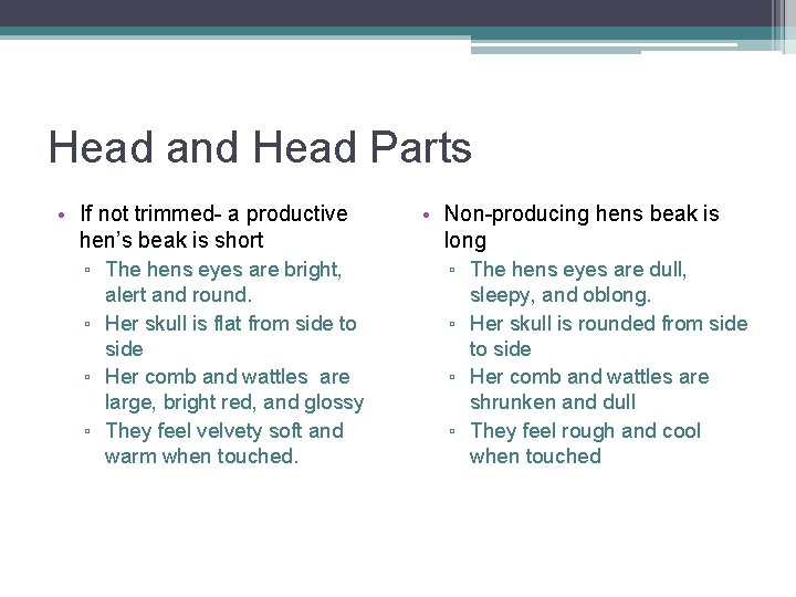 Head and Head Parts • If not trimmed- a productive hen’s beak is short