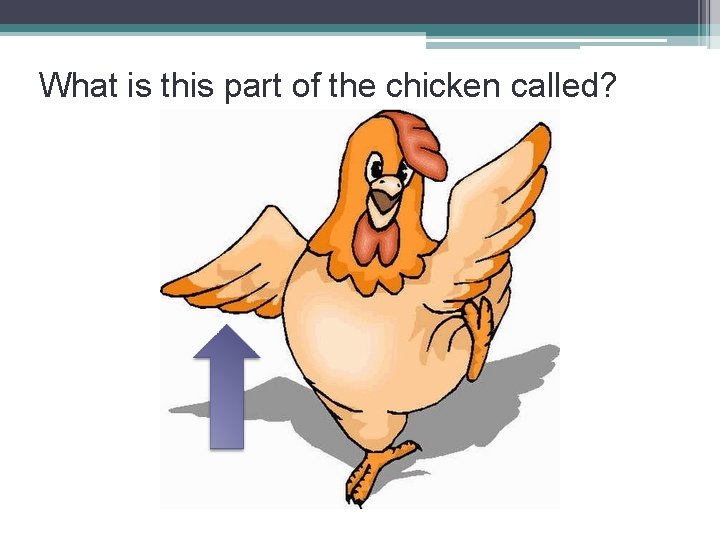 What is this part of the chicken called? 