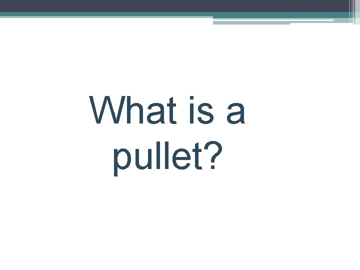What is a pullet? 