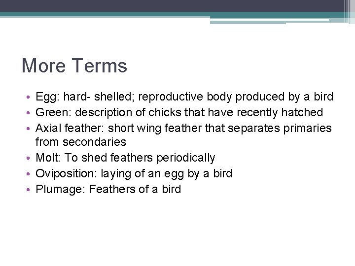 More Terms • Egg: hard- shelled; reproductive body produced by a bird • Green: