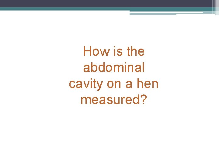 How is the abdominal cavity on a hen measured? 