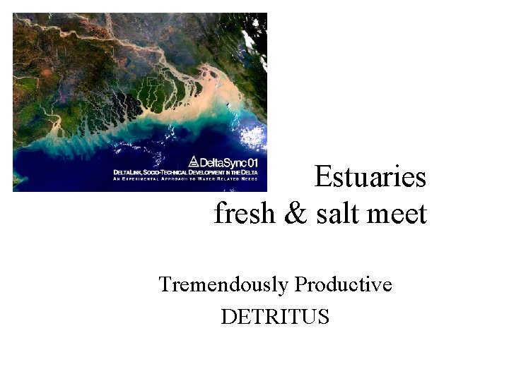 Estuaries fresh & salt meet Tremendously Productive DETRITUS 