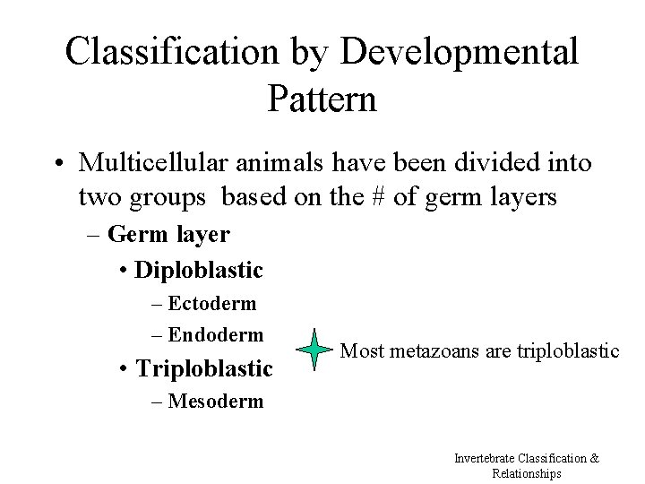Classification by Developmental Pattern • Multicellular animals have been divided into two groups based