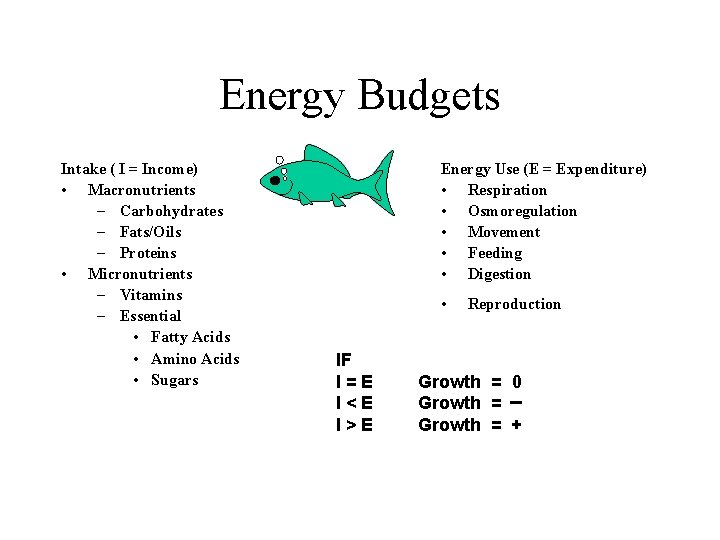Energy Budgets Intake ( I = Income) • Macronutrients – Carbohydrates – Fats/Oils –
