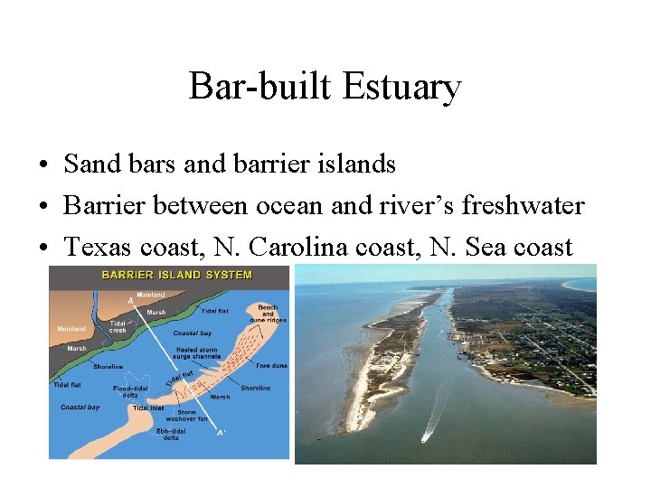 Bar-built Estuary • Sand bars and barrier islands • Barrier between ocean and river’s