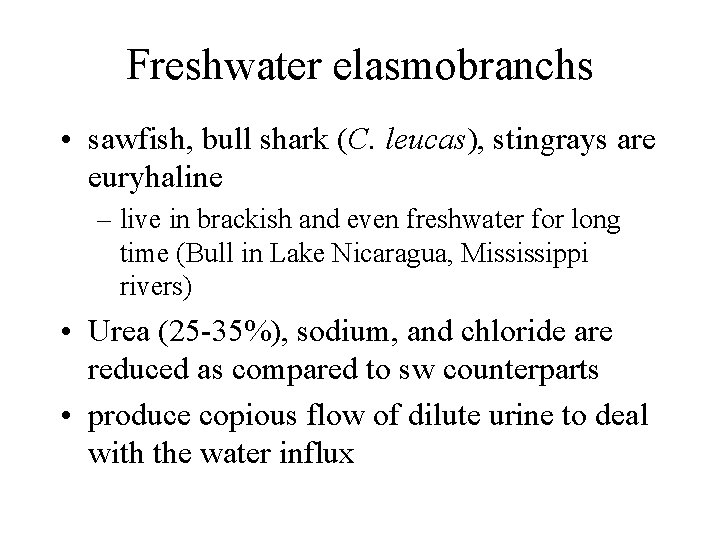 Freshwater elasmobranchs • sawfish, bull shark (C. leucas), stingrays are euryhaline – live in