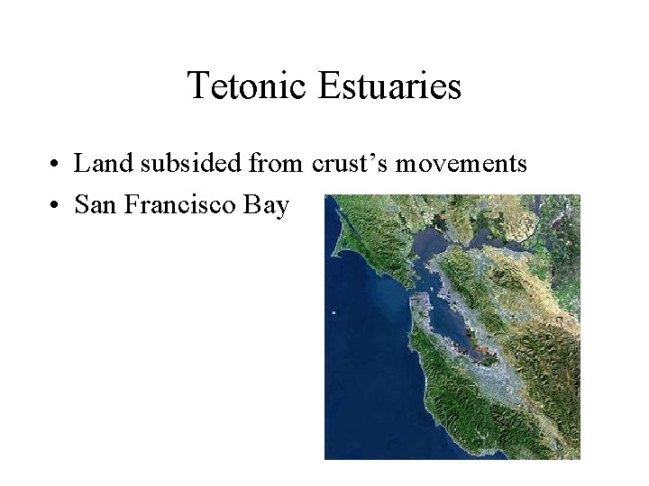 Tetonic Estuaries • Land subsided from crust’s movements • San Francisco Bay 