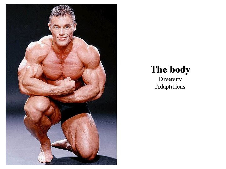 The body Diversity Adaptations 