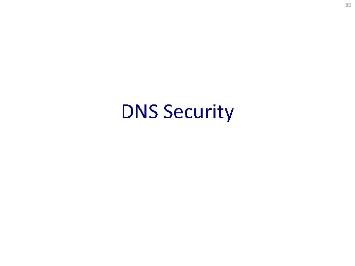 30 DNS Security 