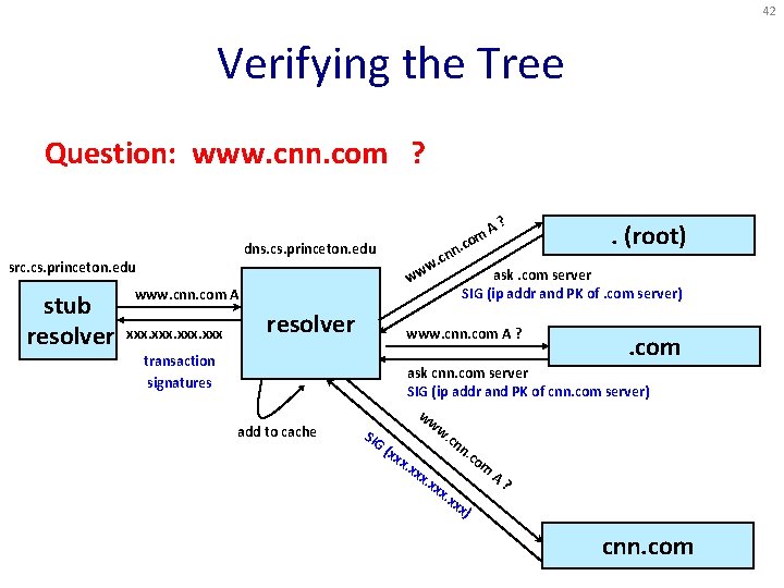 42 Verifying the Tree Question: www. cnn. com ? . dns. cs. princeton. edu