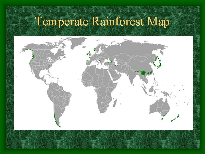 Temperate Rainforest Map 