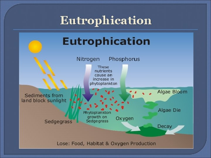 Eutrophication 