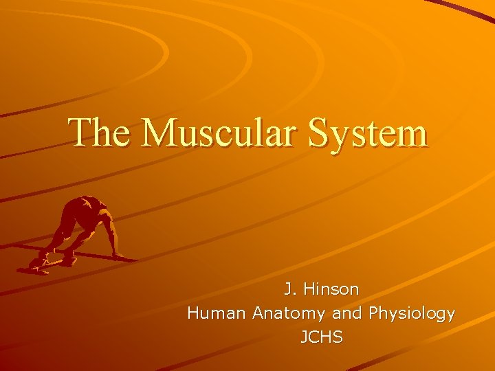 The Muscular System J. Hinson Human Anatomy and Physiology JCHS 