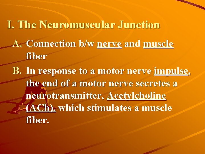 I. The Neuromuscular Junction A. Connection b/w nerve and muscle fiber B. In response
