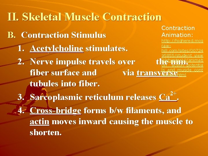 II. Skeletal Muscle Contraction Animation: B. Contraction Stimulus http: //highered. mcg raw 1. Acetylcholine