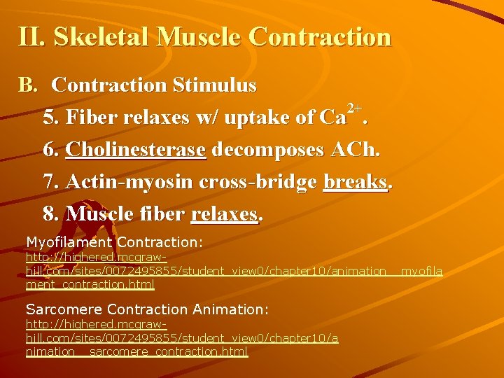 II. Skeletal Muscle Contraction B. Contraction Stimulus 2+ 5. Fiber relaxes w/ uptake of