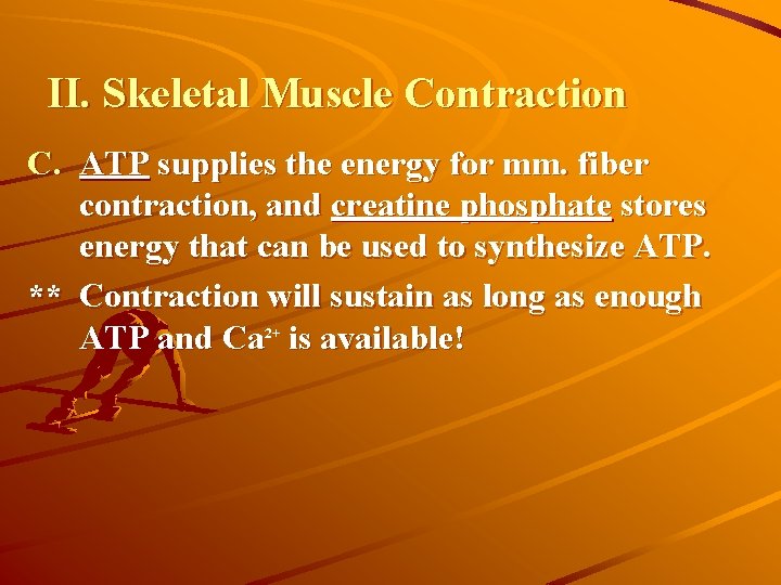 II. Skeletal Muscle Contraction C. ATP supplies the energy for mm. fiber contraction, and