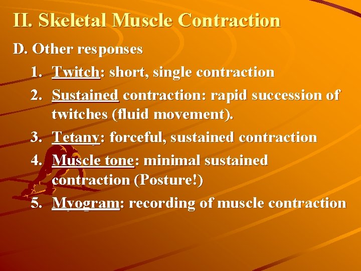 II. Skeletal Muscle Contraction D. Other responses 1. Twitch: short, single contraction 2. Sustained