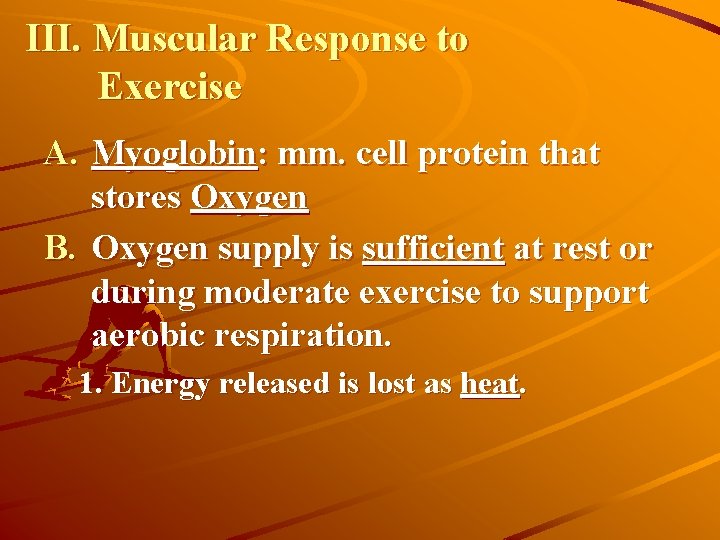 III. Muscular Response to Exercise A. Myoglobin: mm. cell protein that stores Oxygen B.