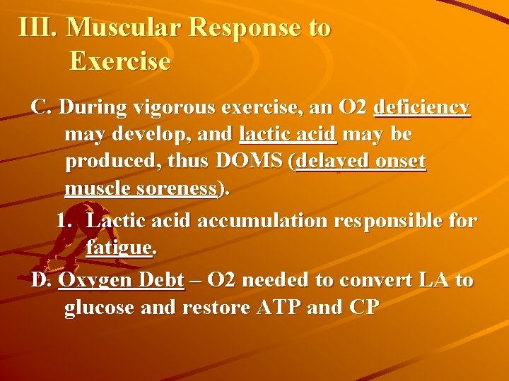 III. Muscular Response to Exercise C. During vigorous exercise, an O 2 deficiency may
