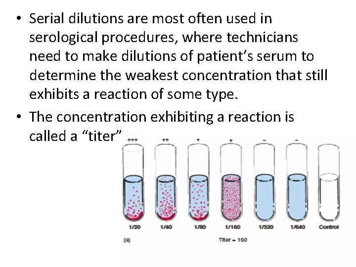  • Serial dilutions are most often used in serological procedures, where technicians need