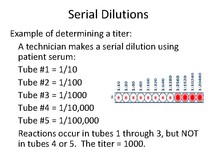 Serial Dilutions Example of determining a titer: A technician makes a serial dilution using