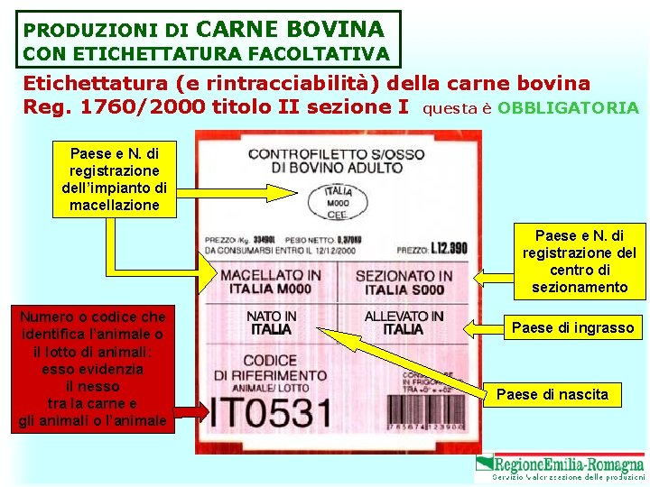 PRODUZIONI DI CARNE BOVINA CON ETICHETTATURA FACOLTATIVA Etichettatura (e rintracciabilità) della carne bovina Reg.