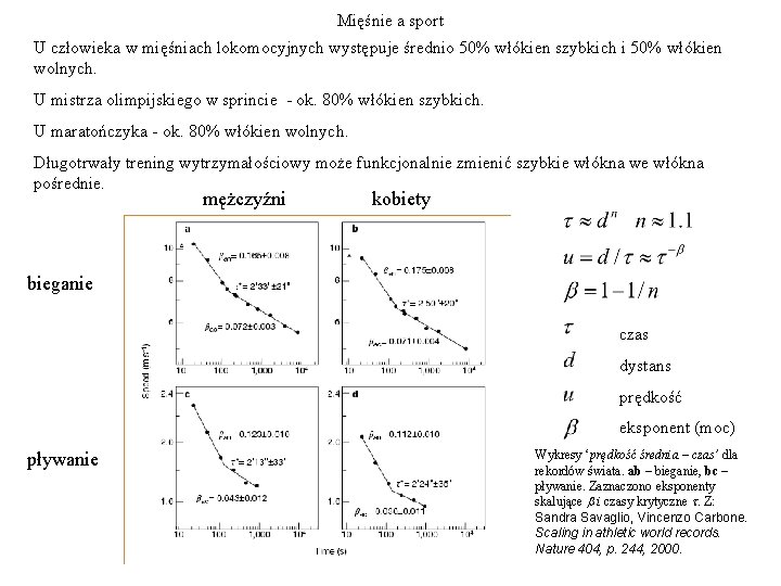 Mięśnie a sport U człowieka w mięśniach lokomocyjnych występuje średnio 50% włókien szybkich i