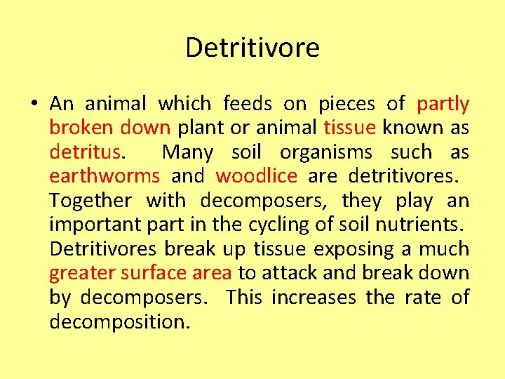 Detritivore • An animal which feeds on pieces of partly broken down plant or