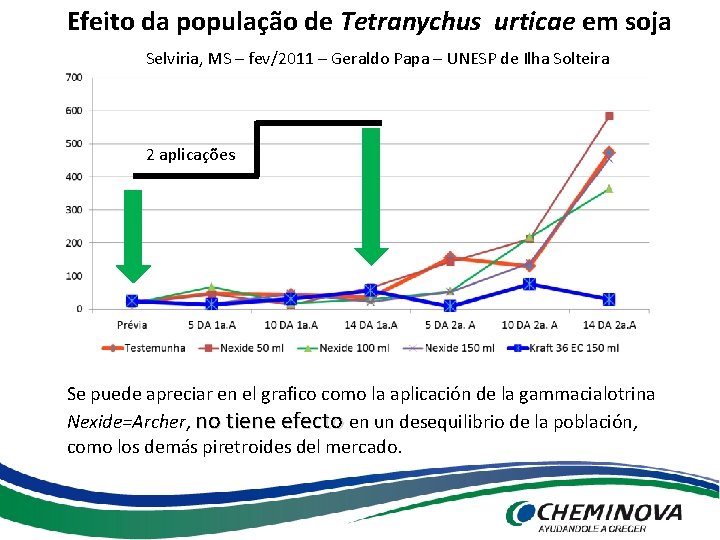 Efeito da população de Tetranychus urticae em soja Selviria, MS – fev/2011 – Geraldo