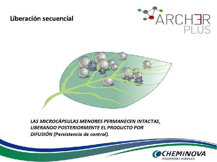 Liberación secuencial LAS MICROCÁPSULAS MENORES PERMANECEN INTACTAS, LIBERANDO POSTERIORMENTE EL PRODUCTO POR DIFUSIÓN (Persistencia