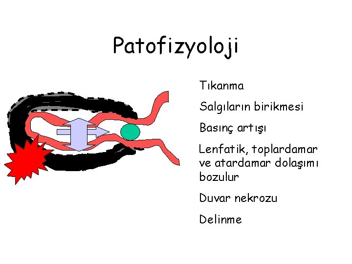 Patofizyoloji Tıkanma Salgıların birikmesi Basınç artışı Lenfatik, toplardamar ve atardamar dolaşımı bozulur Duvar nekrozu