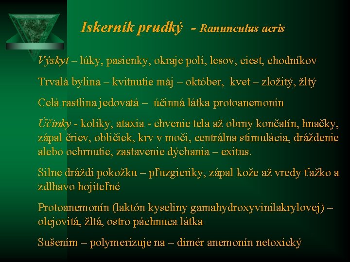 Iskerník prudký - Ranunculus acris Výskyt – lúky, pasienky, okraje polí, lesov, ciest, chodníkov